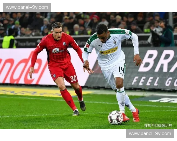 霍芬海姆3-0弗赖堡技术统计：射正9次展现进攻效率