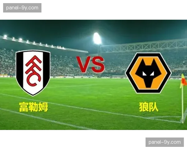 镜头记录：富勒姆vs狼队比赛中，因暴雨导致场地积水一度中断